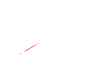 THE SECRET DIARY